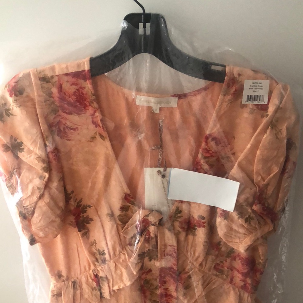 LoveShackFancy Carlton Dress Pink Lemonade Size 2 - Picture 11 of 12